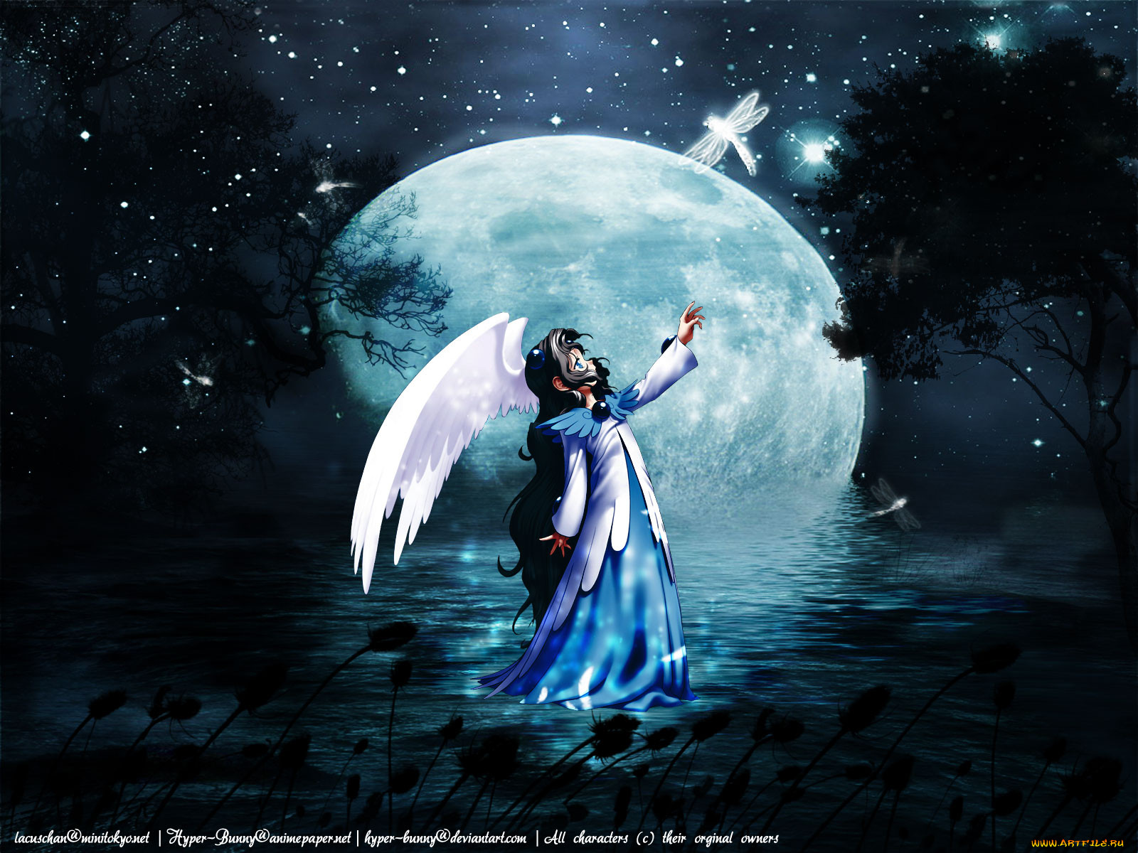 , card, captor, sakura